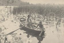 Gathering Water-Lilies, 1886. Creator: Dr Peter Henry Emerson