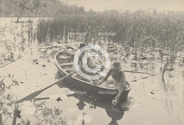 Gathering Water-Lilies, 1886. Creator: Dr Peter Henry Emerson.