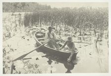 Gathering Water-Lilies, 1886, printed 1886. Creator: Peter Henry Emerson