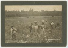 Gathering Watermelons, ca. 1895. Creator: A. W. Möller
