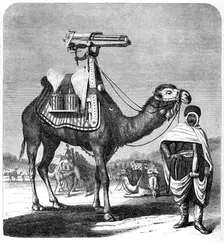 Gatling rapid fire gun, 1862. Artist: Anon