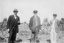 Gaynor with others in cornfield, St. James, L.I., 1910. Creator: Bain News Service
