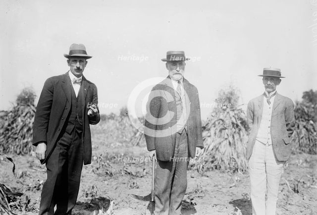 Gaynor with others in cornfield, St. James, L.I., 1910. Creator: Bain News Service.