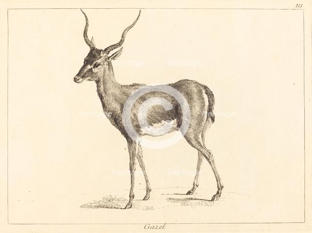 Gazel (Gazelle). Creator: Jacques Philippe Le Bas.