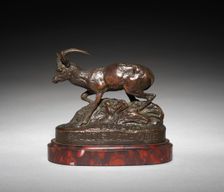 Gazelle dEthiopie, 1887. Creator: Antoine-Louis Barye (French, 1796-1875)