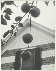 Gable and Apples, 1922. Creator: Alfred Stieglitz