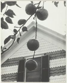Gable and Apples, 1922. Creator: Alfred Stieglitz