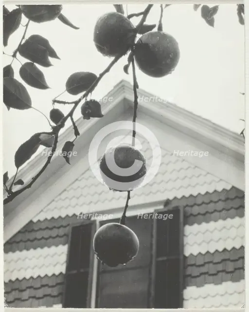 Gable and Apples, 1922. Creator: Alfred Stieglitz.