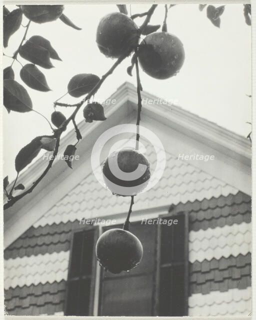 Gable and Apples, 1922. Creator: Alfred Stieglitz.