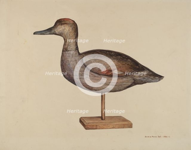 Gadwall Decoy, c. 1939. Creator: Samuel W. Ford.