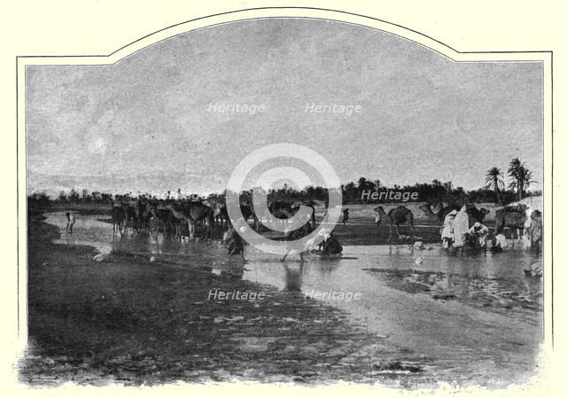 ''Gafsa. L'Oued Baiech; Afrique du nord', 1914. Creator: Unknown.