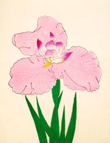 Gaisen, No. 90, 1890, (colour woodblock print)