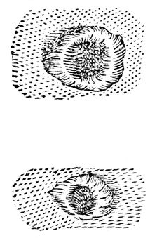 Galileo's drawing of lunar craters, 1611, (c1655). Creator: Unknown