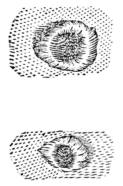 Galileo's drawing of lunar craters, 1611, (c1655). Creator: Unknown.