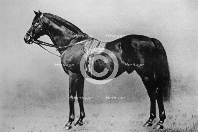 'Galopin, 1872-1899, (1911). Artist: Unknown.