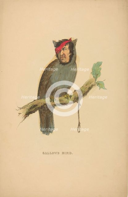 Gallows Bird, from The Comic Natural History of the Human Race, 1851. Creators: Henry Louis Stephens, L. Rosenthal.