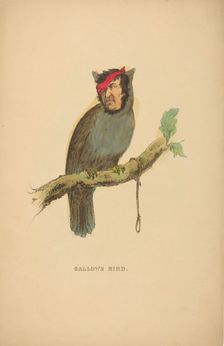 Gallows Bird, from The Comic Natural History of the Human Race, 1851. Creators: Henry Louis Stephens, L. Rosenthal