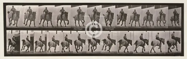 Gallop, 1872-1885.  Creator: Eadweard J Muybridge.