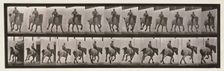 Gallop, 1872-1885. Creator: Eadweard J Muybridge