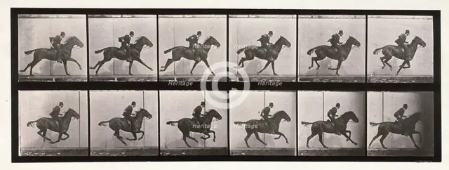 Gallop, 1872-1885.  Creator: Eadweard J Muybridge.