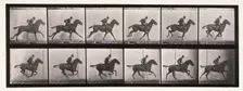 Gallop, 1872-1885. Creator: Eadweard J Muybridge