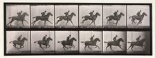 Gallop, 1872-1885. Creator: Eadweard J Muybridge