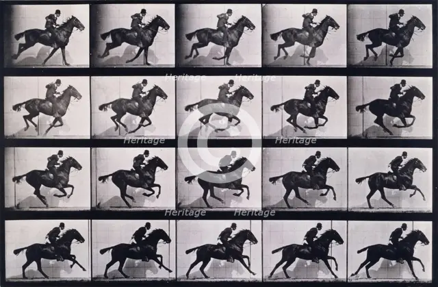 Gallop, 1872-1885.   Creator: Eadweard J Muybridge.