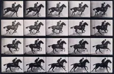 Gallop, 1872-1885. Creator: Eadweard J Muybridge