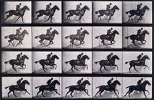 Gallop, 1872-1885. Creator: Eadweard J Muybridge
