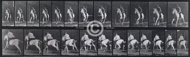 Gallop, 1872-1885.   Creator: Eadweard J Muybridge.
