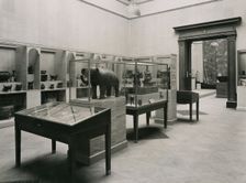 Gallery I, (Royal Academy of Arts, International Exhibition of Chinese Art, 1935-36), 1935. Creator: Unknown