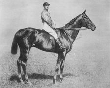 Galtee More 1894-1917, (1911)