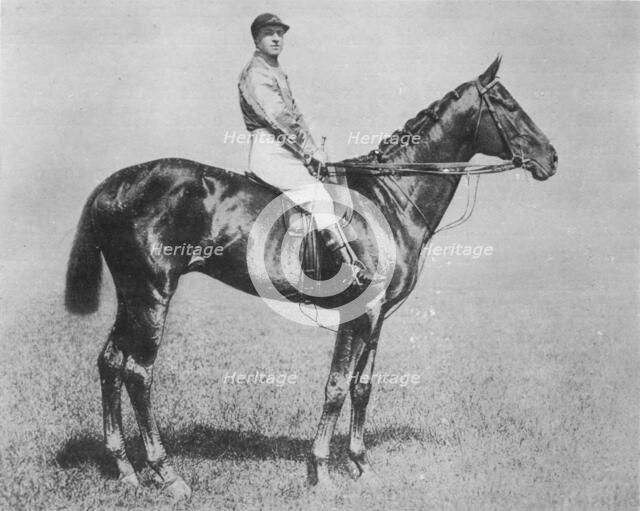 'Galtee More', 1894-1917, (1911). Artist: Unknown.