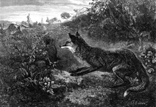 "Gambols Disturbed," by G. B. Goddard, 1870. Creator: Horace Harral