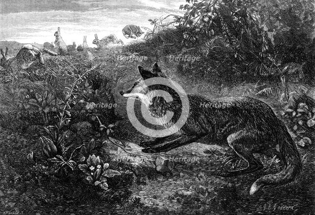 "Gambols Disturbed," by G. B. Goddard, 1870. Creator: Horace Harral.