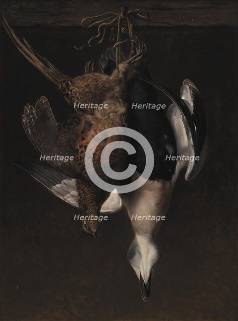 Game. A Pheasant and an Eider, 1846. Creator: Johan Laurentz Jensen.