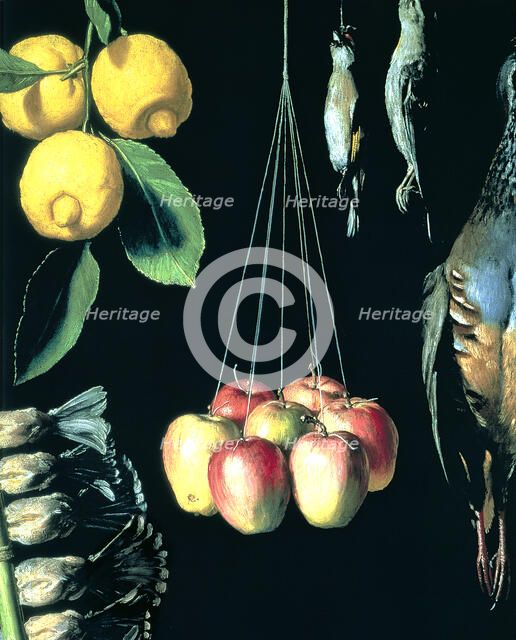Game, fruits and vegetables, 1602, detail. Work by Juan Sánchez Cotán.