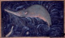 Ganges River Dolphin, 1590. Creator: Sarwan