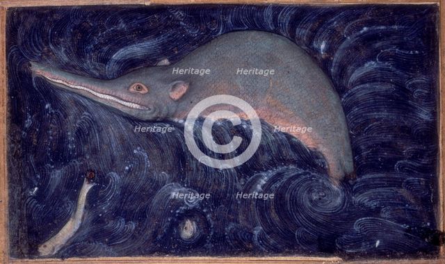 Ganges River Dolphin, 1590.  Creator: Sarwan.