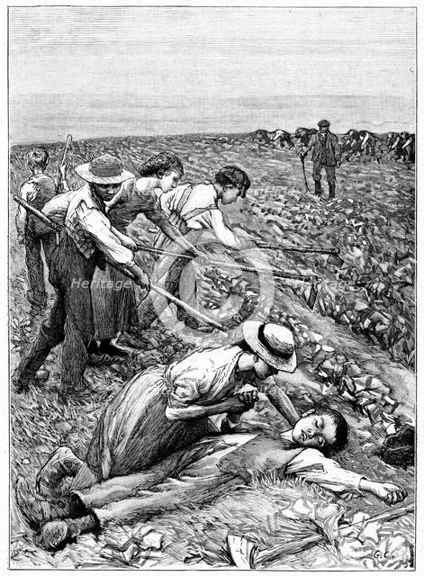 Gang system of child labour, c1885. Artist: Unknown
