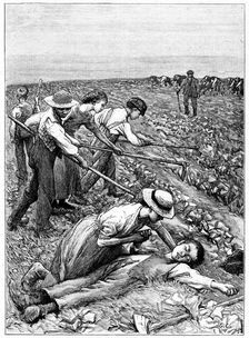 Gang system of child labour, c1885