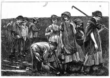 Gang system of child labour, c1885