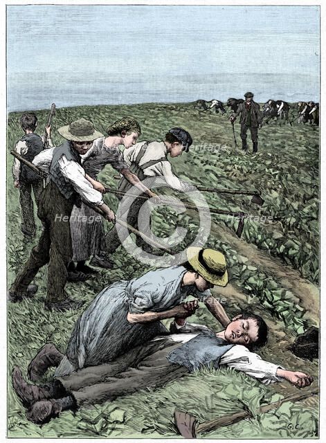 Gang system of child labour, c1885. Artist: Unknown.