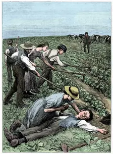 Gang system of child labour, c1885