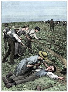 Gang system of child labour, c1885