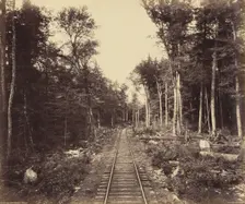 Ganoga Lake Branch, c. 1895. Creator: William H Rau