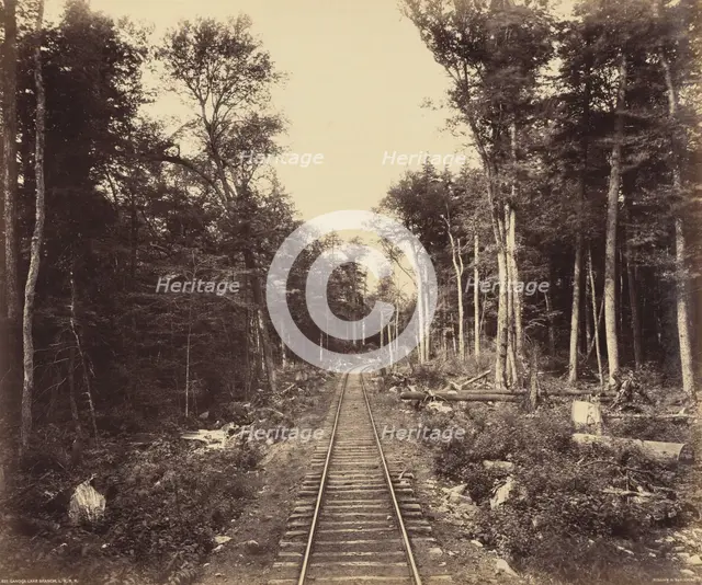 Ganoga Lake Branch, c. 1895. Creator: William H Rau.