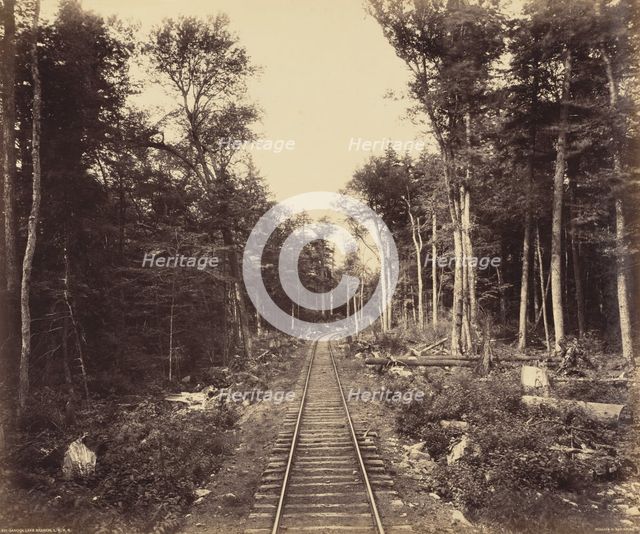 Ganoga Lake Branch, c. 1895. Creator: William H Rau.