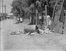 Garbage disposal, Brawley, Imperial Valley, California, 1935. Creator: Dorothea Lange