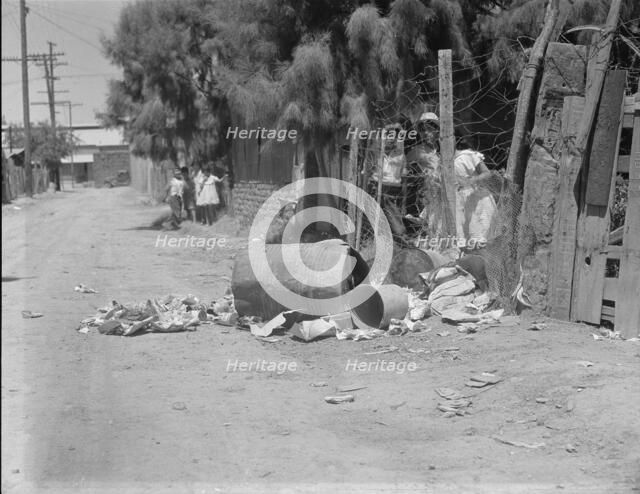 Garbage disposal, Brawley, Imperial Valley, California, 1935. Creator: Dorothea Lange.